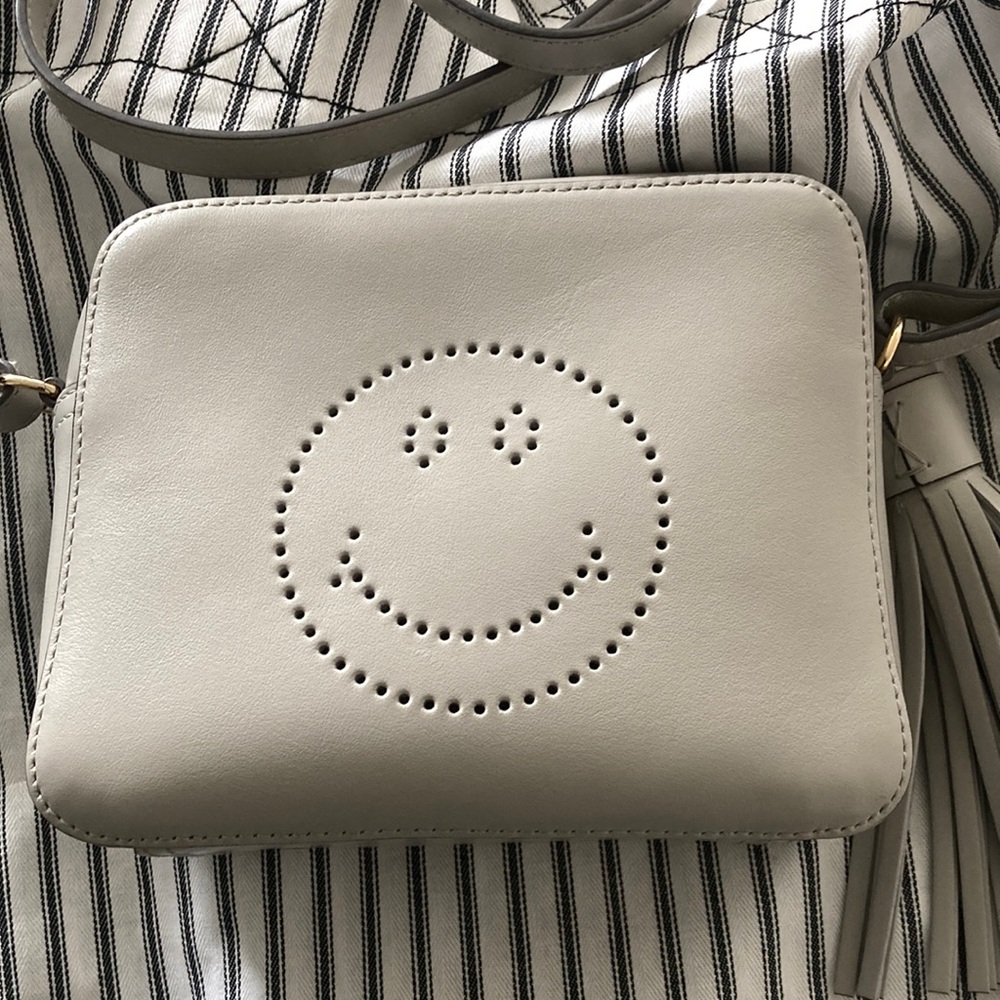 Anya Hindmarch London Smiley Crossbody Bag Gray